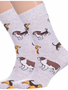 Комплект из 2 пар носков Брестские (БЧК), 2-21С4200, рис. 158, СВЕТЛО-СЕРЫЕ МЕЛАНЖ