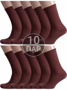 Комплект из 10 пар мужских носков Альтаир, 10-С198, ШОКОЛАД