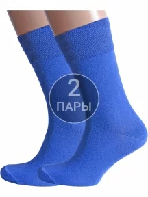 Комплект из 2 пар мужских носков Альтаир, 2-H226, СИНИЕ