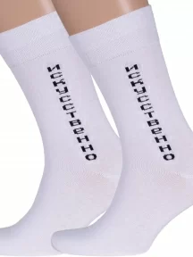 Комплект из 2 пар мужских носков MSCLUB №М20, 2-nm-232Э, "Искусственно"