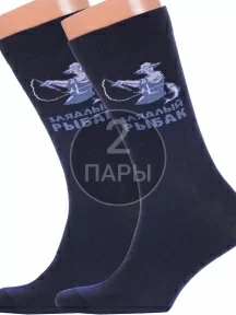 Комплект из 2 пар мужских носков "Красная ветка", 2-С-2066, СИНИЕ