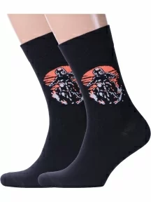 Комплект из 2 пар носков Брестские (БЧК), 2-21С4200, рис. 216 ЧЕРНЫЕ