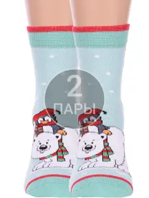 Комплект из 2 пар детских носков Брестские (БЧК) рис. 8004, МЯТНЫЕ (2-20С3079)