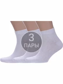 Комплект из 3 пар мужских носков Альтаир СВЕТЛО-СЕРЫЕ (3-О214)