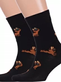 Комплект из 2 пар мужских носков Брестские (БЧК), 2-23С2155, рис. 497, ЧЕРНЫЕ