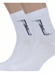 Комплект из 2 пар мужских носков Гамма, 2-С538, БЕЛЫЕ