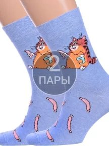 Комплект из 2 пар мужских носков Брестские (БЧК), 2-23С2155, рис. 504, ГОЛУБЫЕ МЕЛАНЖ