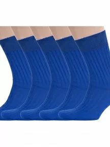 Комплект из 5 пар мужских носков RuSocks (Орудьевский трикотаж) из 100% хлопка, 5-М3-11001, рис. 01, ВАСИЛЬКОВЫЕ