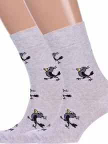 Комплект из 2 пар мужских носков Брестские (БЧК), 2-23С2153, рис. 489, СВЕТЛО-СЕРЫЕ МЕЛАНЖ