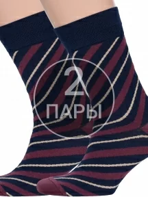 Комплект из 2 пар мужских носков MSCLUB №М33, 2-nm-355, СИНЕ-БОРДОВЫЕ