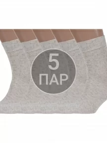 Комплект из 5 пар мужских носков Брестские (БЧК), 5-15С2613, рис. 000, НАТУРАЛЬНЫЕ