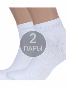 Комплект из 2 пар мужских носков Альтаир БЕЛЫЕ (2-А202)