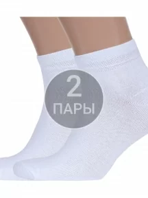 Комплект из 2 пар мужских носков Альтаир, 2-А202, БЕЛЫЕ