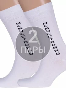 Комплект из 2 пар мужских носков MSCLUB №М20, 2-nm-232Э, "Искусственно"