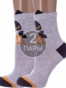 Комплект из 2 пар детских носков Conte kids, 2-17С-59СП, рис. 553, СВЕТЛО-СЕРЫЕ