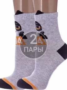 Комплект из 2 пар детских носков Conte kids, 2-17С-59СП, рис. 553, СВЕТЛО-СЕРЫЕ