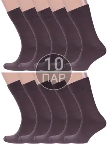 Комплект из 10 пар мужских носков MSCLUB КОРИЧНЕВЫЕ (10-ПН-01Э)