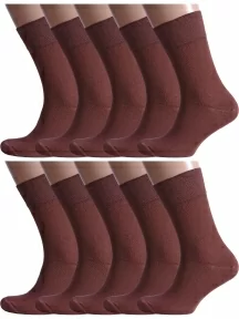 Комплект из 10 пар мужских носков Альтаир, 10-H226, ШОКОЛАД