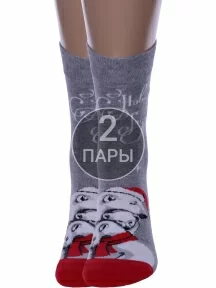 Комплект из 2 пар мужских носков Брестские (БЧК) рис. 543 СЕРЫЕ МЕЛАНЖ (2-20С2146)