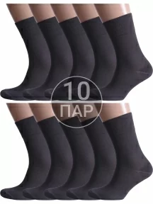 Комплект из 10 пар мужских носков Альтаир, 10-H226, ГРАФИТ