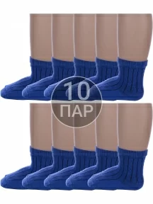Комплект из 10 пар детских носков Альтаир, 10-М20, ВАСИЛЬКОВЫЕ
