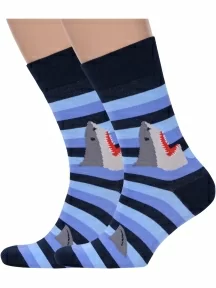 Комплект из 2 пар мужских носков MSCLUB №М29, 2-nm-318, МУЛЬТИКОЛОР