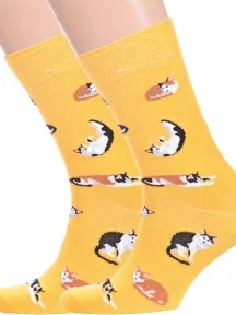 Комплект из 2 пар носков Брестские (БЧК), 2-21С4200, рис. 161, ТЕМНО-ЖЕЛТЫЕ