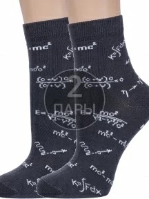 Комплект из 2 пар детских носков "Красная ветка", 2-С-2112, СЕРЫЕ