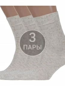 Комплект из 3 пар мужских носков Брестские (БЧК), 3-15С2613, рис. 000, НАТУРАЛЬНЫЕ