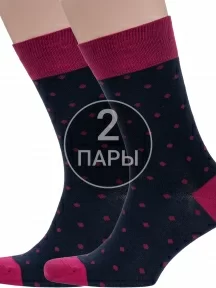 Комплект из 2 пар мужских носков Grinston socks (PINGONS) БОРДОВЫЕ (2-18D1)