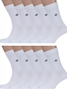 Комплект из 10 пар мужских носков ХОХ, 10-X-1205, БЕЛЫЕ