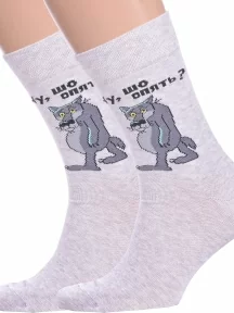 Комплект из 2 пар мужских носков Брестские (БЧК), 2-23С2155, рис. 492, СВЕТЛО-СЕРЫЕ МЕЛАНЖ