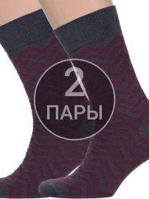 Комплект из 2 пар мужских носков MSCLUB №М33, 2-nm-356, ГРАФИТОВО-БОРДОВЫЕ