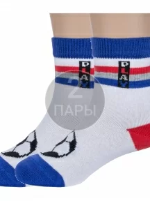 Комплект из 2 пар детских носков "Борисоглебский трикотаж", 2-8СМ1007, БЕЛЫЕ