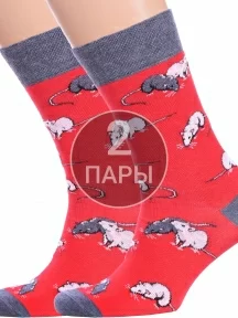 Комплект из 2 пар носков Брестские (БЧК), 2-21С4200, рис. 162, ВИШНЕВЫЕ