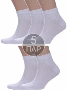 Комплект из 5 пар мужских носков Альтаир, 5-О214, СВЕТЛО-СЕРЫЕ