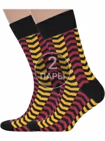 Комплект из 2 пар мужских носков MSCLUB №М40, 2-nm-437, МИЛЬТИКОЛОР