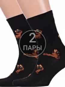 Комплект из 2 пар мужских носков Брестские (БЧК), 2-23С2155, рис. 497, ЧЕРНЫЕ