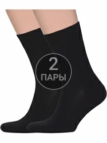Комплект из 2 пар мужских носков Альтаир, 2-H226, ЧЕРНЫЕ