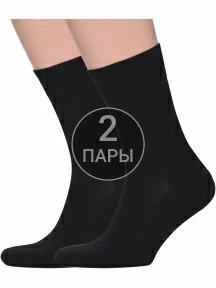 Комплект из 2 пар мужских носков Альтаир, 2-H226, ЧЕРНЫЕ