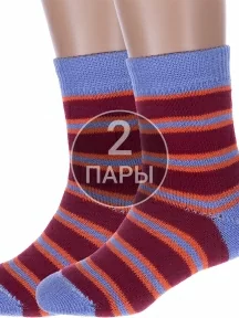 Комплект из 2 пар детских махровых носков Альтаир, 2-С114, БОРДОВО-ГОЛУБЫЕ