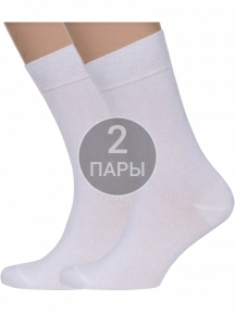 Комплект из 2 пар мужских носков Брестские (БЧК), 2-14С2122, рис. 000, БЕЛЫЕ