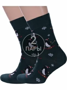 Комплект из 2 пар мужских носков Брестские (БЧК) рис. 538 ТЕМНО-ЗЕЛЕНЫЕ (2-20С2146)