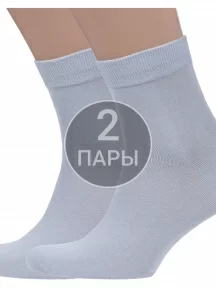 Комплект из 2 пар мужских носков Grinston socks (PINGONS) из 100% хлопка, 2-15D12, СВЕТЛО-СЕРЫЕ