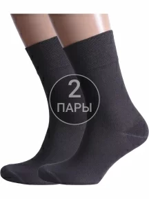 Комплект из 2 пар мужских носков Альтаир ГРАФИТ (2-H226)