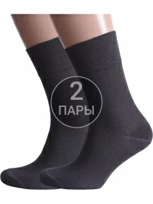 Комплект из 2 пар мужских носков Альтаир, 2-H226, ГРАФИТ