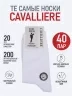 Комплект из 40 пар мужских носков CAVALLIERE (RuSocks), С-330/1-40, БЕЛЫЕ
