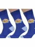 Комплект из 3 пар мужских носков MSCLUB №М29, msk3-М29, nm-312, СИНИЕ с отдыхающим и чайкой