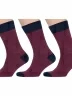 Комплект из 3 пар мужских носков MSCLUB №М34, msk3-М34, nm-374, БОРДОВЫЕ в тонкую полоску