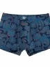 Мужские бамбуковые трусы-боксеры SD (by Salvador Dali), SD2042-2, СИНИЕ